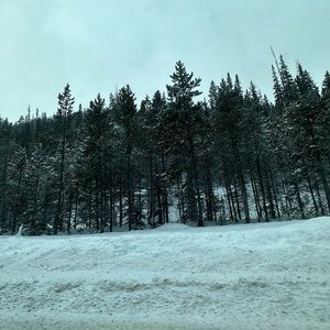 Meet your Posher, Drew